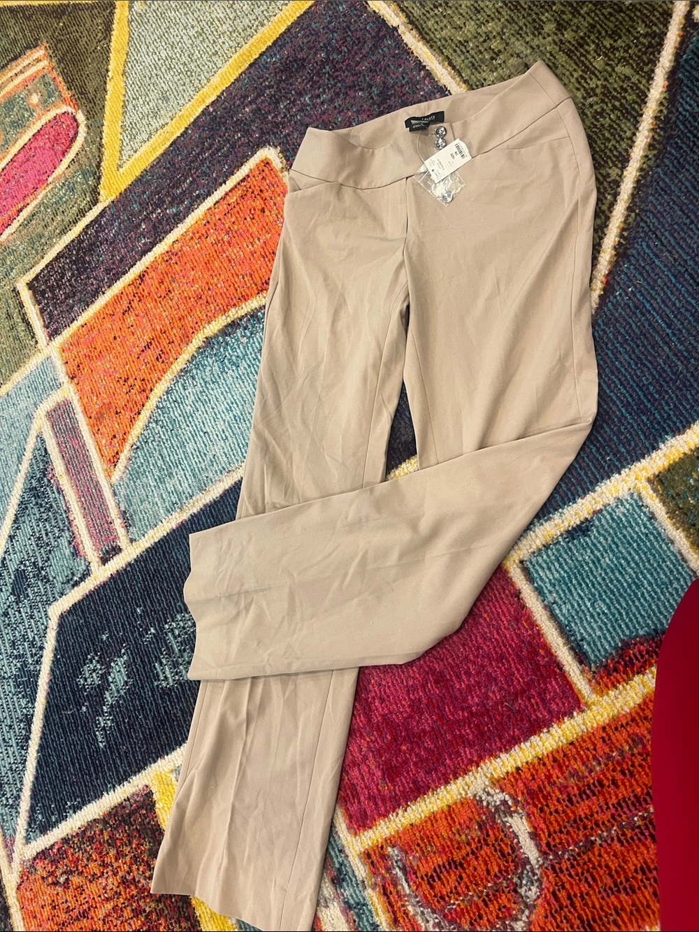 Dress Pants in Beige